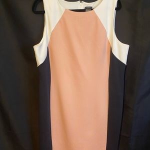 Ann Taylor Dress